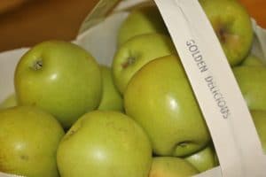 Image of green apples in a sack